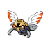 Ninjask