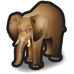 Elephant animal