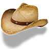 Hat cowboy straw boots