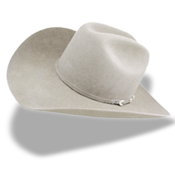 Hat cowboy white