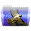 Bird eagle folder