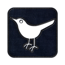 Twitter bird square social logo