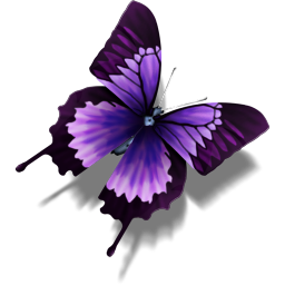 Butterfly other animal purple cat