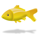 Fish animal