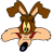 Wile coyote smiling