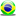 Brasil team brasil brazilia world cup argentina
