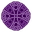 Purpleknot