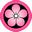 Pink umebachi