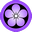 Purple umebachi