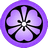 Purple katabami
