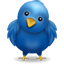 Bird blue twitter animal