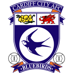 Cardiff town city