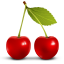 Berries vegetable cherry fruit