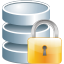 Database data lock