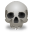 Skull wing smile icon