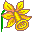 F yellow flower daffodil