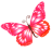 Butterfly pink animal lotus blossom