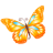 Animal butterfly orange