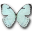 Mint morpho butterfly