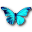 Rhetenor morpho butterfly