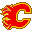 Calgary flames