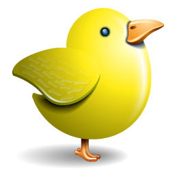 Chicken bird twitter animal