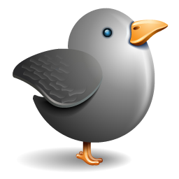 Grey bird twitter gray bird