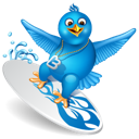 Surfing twitter bird