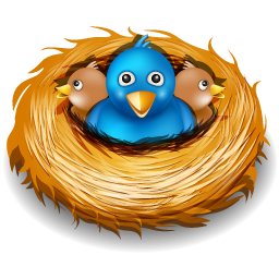 Nest birds twitter