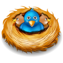 Nest birds twitter