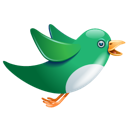 Animal twitter bird