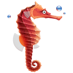 Animal fish seahorse