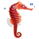 Animal fish seahorse
