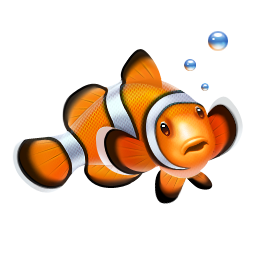 Clown fish nemo fish