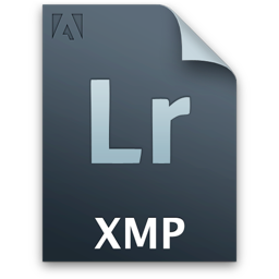 Lr secondary file xmp document