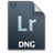 Secondary lr file dng document