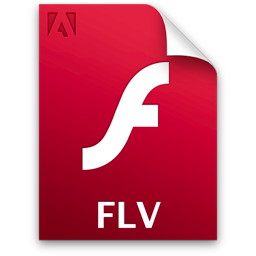 Flv document file