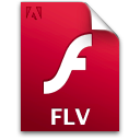Flv document file