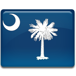 Carolina south flag