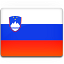 Slovenia flag