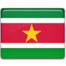 Suriname flag