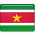 Suriname flag