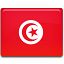 Tunisia flag