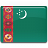 Turkmenistan flag