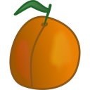 Apricot food