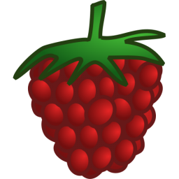 Raspberry food
