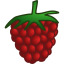 Raspberry food