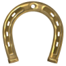 Lucky horseshoe