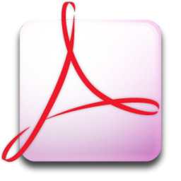 Adobe acrobat professional