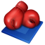 Boxing sport